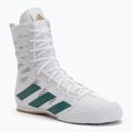 Boxerské boty Adidas Box Hog 4 cloud white/collegiate green/core black