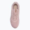 Běžecké boty PUMA FlexFocus Lite Modern mauve mist/puma go 5