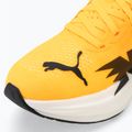 Pánská běžecké boty PUMA Deviate Nitro 3 Fade sun stream/sunset glow/puma white 7
