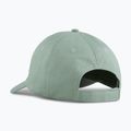 Kšiltovka PUMA Ess Puma Cat BB green moon 2