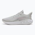 Běžecké boty PUMA Softride Carson cool light gray/rose mauve/puma silver