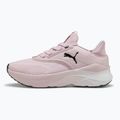 Dámské běžecké boty PUMA Softride Mayve rose mauve/puma black/sun struck