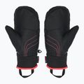 Dětské lyžařské rukavice ZIENER Luron Aquashield PR Mitten multicolor 2