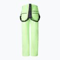 Pánské lyžařské kalhoty BOGNER FIRE+ICE Scott 3 vibrant lime 2