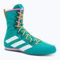 Boxerské boty adidas Box Hog 4 turquoise