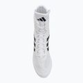 Boxovací boty adidas Box Hog II white/black 5