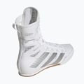 Boxerské boty adidas Box Hog 4 white/silver 2