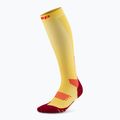 Pánské kompresní ponožky CEP Run Tall 5.0 marigold/burgundy 2