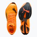 Pánské běžecké boty PUMA Fast-R Nitro Elite 3 heat fire / sun stream 6