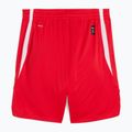 Pánské basketbalové šortky PUMA teamJAWS Starter for all time red 2