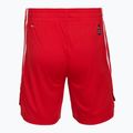 Pánské basketbalové šortky PUMA teamJAWS Starter for all time red 2