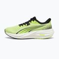 Běžecké boty Puma Electrify Nitro 5 sunny lime/puma black