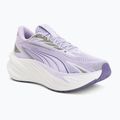 Běžecké boty Puma Maxima Pro light lavender/plum purple