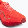 Pánské běžecké boty Puma Velocity Nitro 5 ultra red/red rhythm 7