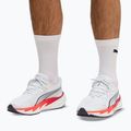 Pánské běžecké boty Puma Velocity Nitro 5 puma white/ultra red 7