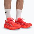 Pánské běžecké boty PUMA Deviate Nitro 4 ultra red/puma silver 7