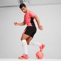 Kopačky PUMA Future 7 Ultimate FG/AG sunset glow/puma black/sun stream 15