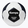 Kempa Spectrum Synergy Primo Game Changer házená šedá/zelená velikost 1 4