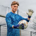 Brankářské rukavice T1TAN Blue Beast 3.0 FP blue/white 3
