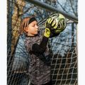 Brankářské rukavice T1TAN AROX 1.0 yellow 5