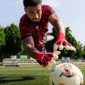 Brankářské rukavice T1TAN Beast 4.0 demon red 3