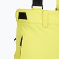 Pánské lyžařské kalhoty Descente Swiss actus green 3