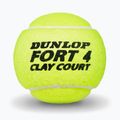 Tenisové míčky Dunlop Fort Clay Court 4B 2025 3