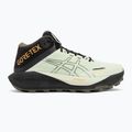 Pánské běžecké boty ASICS Gel-Trabuco MT GTX whisper green/mantle green 2