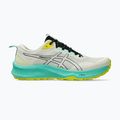 Pánské běžecké boty ASICS Trabuco Terra 3 Light Dust/Black