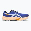 Pánské běžecké boty ASICS Fuji Lite 6 cobalt burst/cool grey 2
