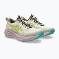 Dámské běžecké boty ASICS Gel-Pulse 17 TR light dust/cacti 10