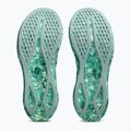 Pánské běžecké boty ASICS Noosa Tri 16 illuminate yellow/jewel green 4