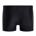 Pánské plavky Speedo Tech Logo černé 68-11354F130 2