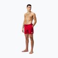 Pánské plavecké šortky Speedo Boom Logo 16' červené 68-124336446 2