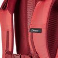 Turistický batoh  Berghaus Remote Hike 25 l baked apple/syrah 7