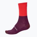 Cyklistické ponožky  Endura Baa Baa Merino Winter pomegranate