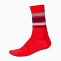 Cyklistické ponožky  Endura BaaBaa Merino Stripe pomegranate