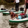 SUP prkno Red Paddle Co Voyager 12'6" green 17623 13