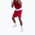 Pánské tréninkové šortky Boxraw Stevenson V2 red/white 4