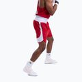 Pánské tréninkové šortky Boxraw Stevenson V2 red/white 6