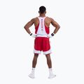 Pánské tričko na lezení Boxraw Stevenson V2 Tank red/white 3