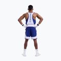 Pánské tréninkové šortky Boxraw Stevenson V2 blue/white 3