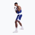 Pánské tréninkové šortky Boxraw Stevenson V2 blue/white 8