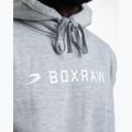 Pánská mikina Boxraw A.B.C. Hoodie grey 8