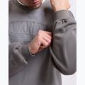 Pánská mikina Boxraw East Street Sweatshirt distressed grey 8