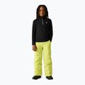 Dětská fleecová mikina Dare 2b Freehand Fleece black 3