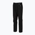 Pánské trekkingové kalhoty REGATTA Highton Stretch black 5