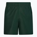 Pánské plavecké šortky Nike Essential 5" Volley zelené NESSA560-303