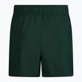 Pánské plavecké šortky Nike Essential 5" Volley zelené NESSA560-303 2