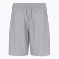Pánské plavecké šortky Nike Essential 7" Volley šedé NESSA559-079 2
